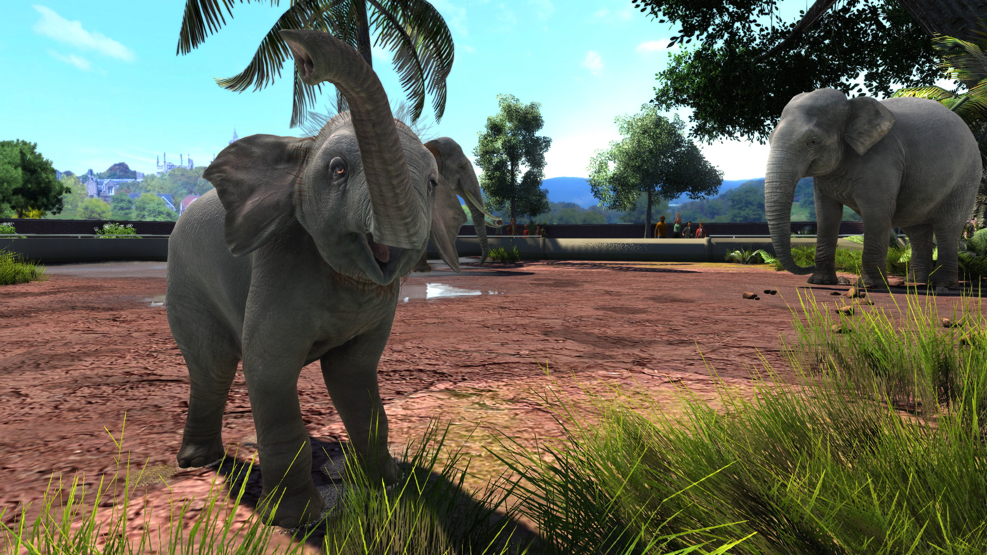 zoo tycoon ultimate collection