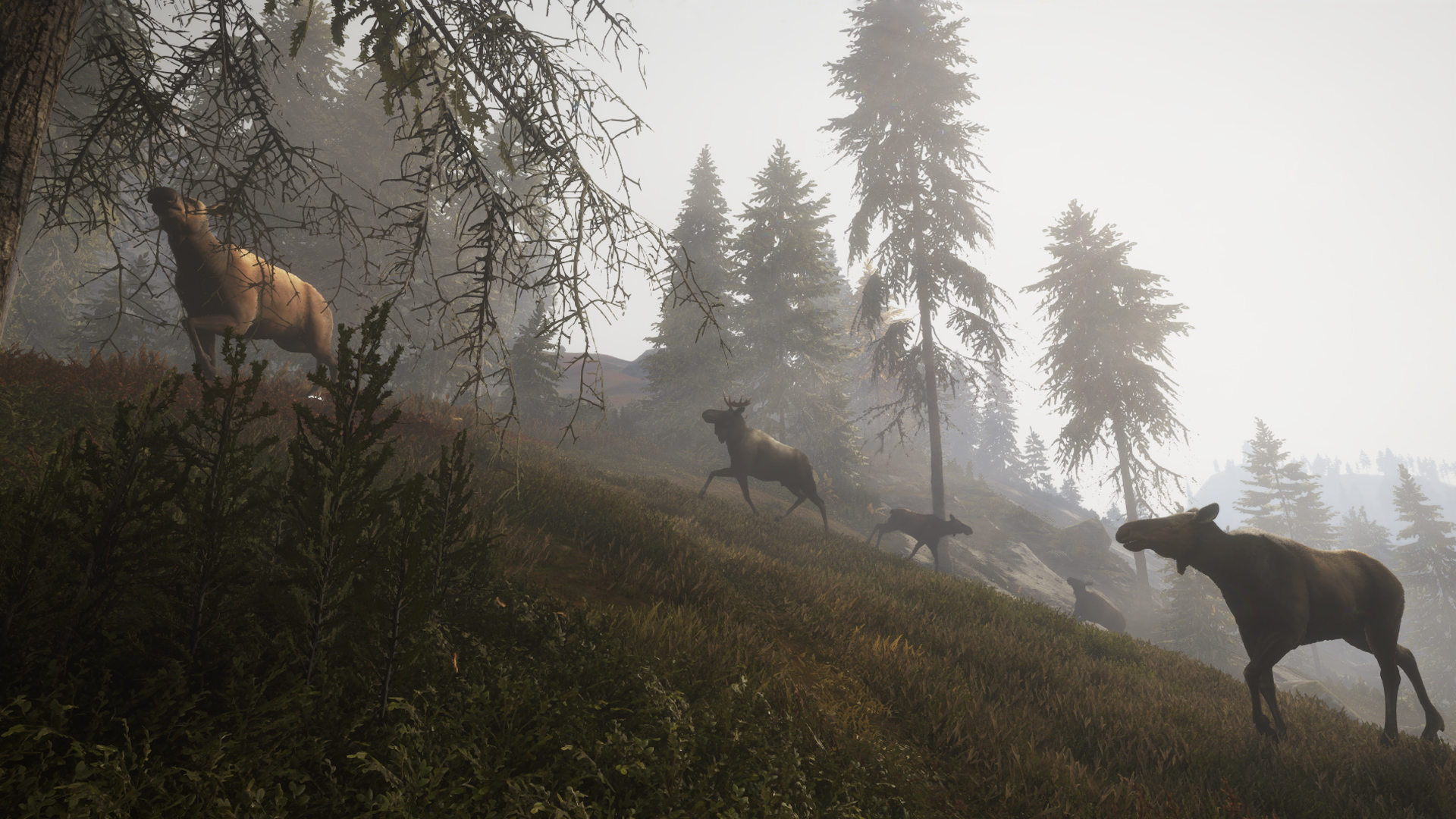 The Hunter Call Of The Wild Doc 21