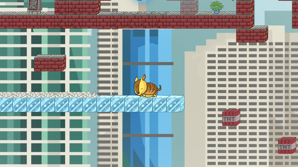 Calico & Co.for windows and Linux 1