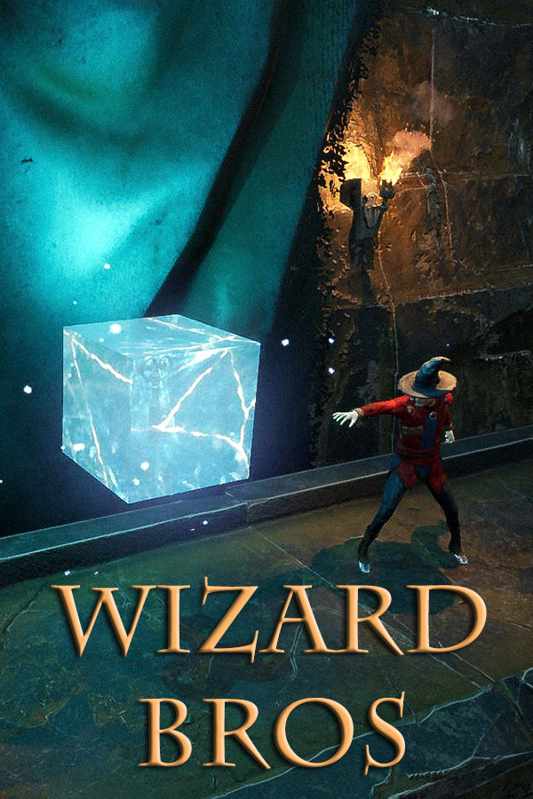 Steam portrait for Wizard Bros.