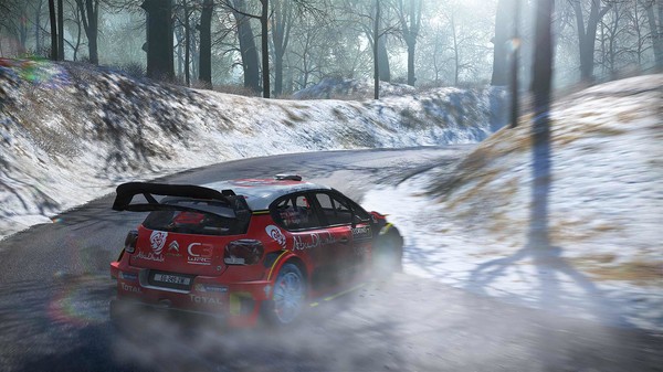Скриншот из WRC 7