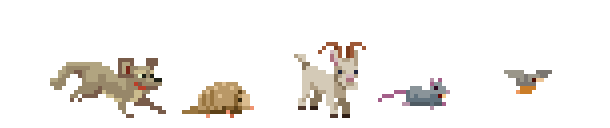 bannerAnimals.gif