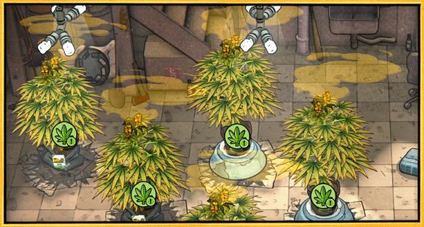 Игра выращивание марихуаны на пк фото грамма конопли