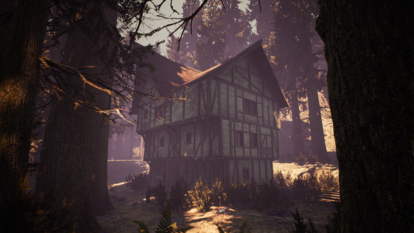 Nephise Begins game for Linux 1