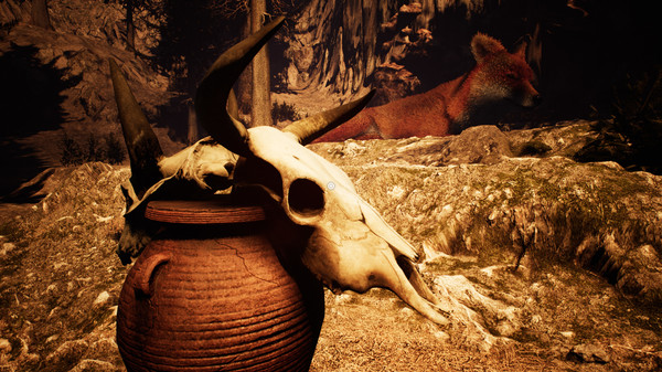 Nephise Begins for linux