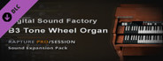 Xpack - Digital Sound Factory - B3 Tone Wheel Organ