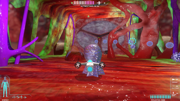 Placebo Effectfor windows and Linux 1