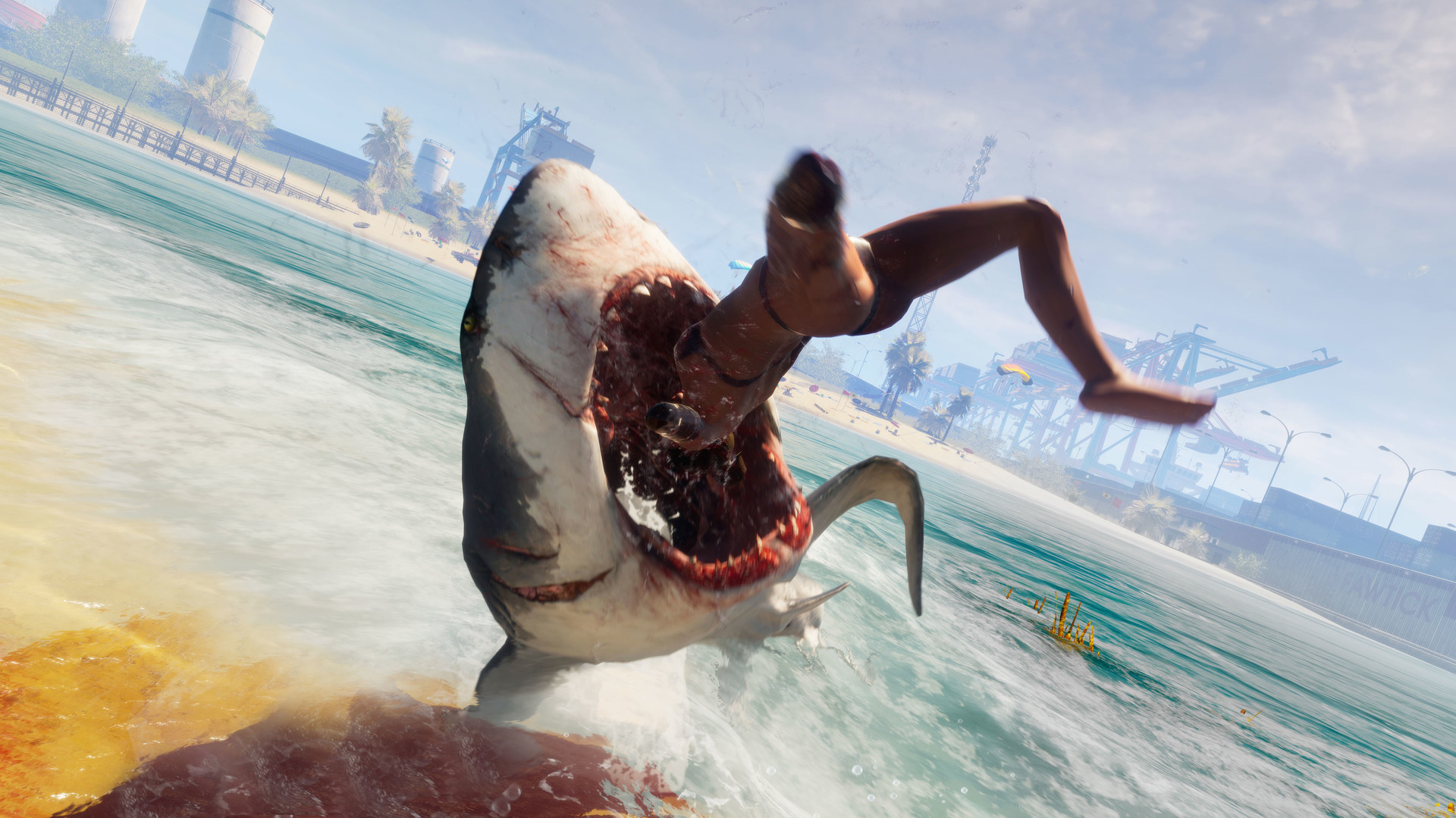 shark maneater shark maneater