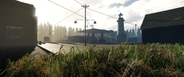 The Village game for Linux 1