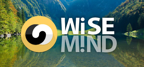 WiseMind cover art