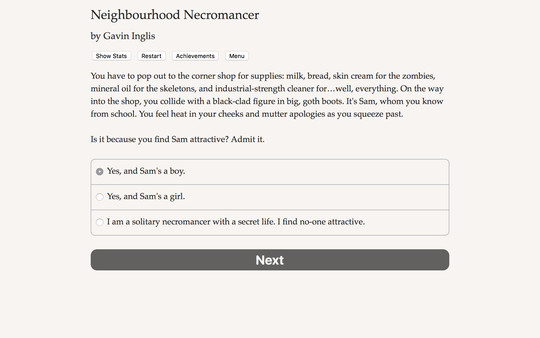 Neighbourhood Necromancer PC requirements