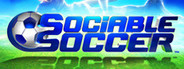 Sociable Soccer System Requirements