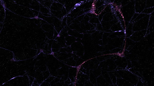 Sankharafor windows and Linux 1