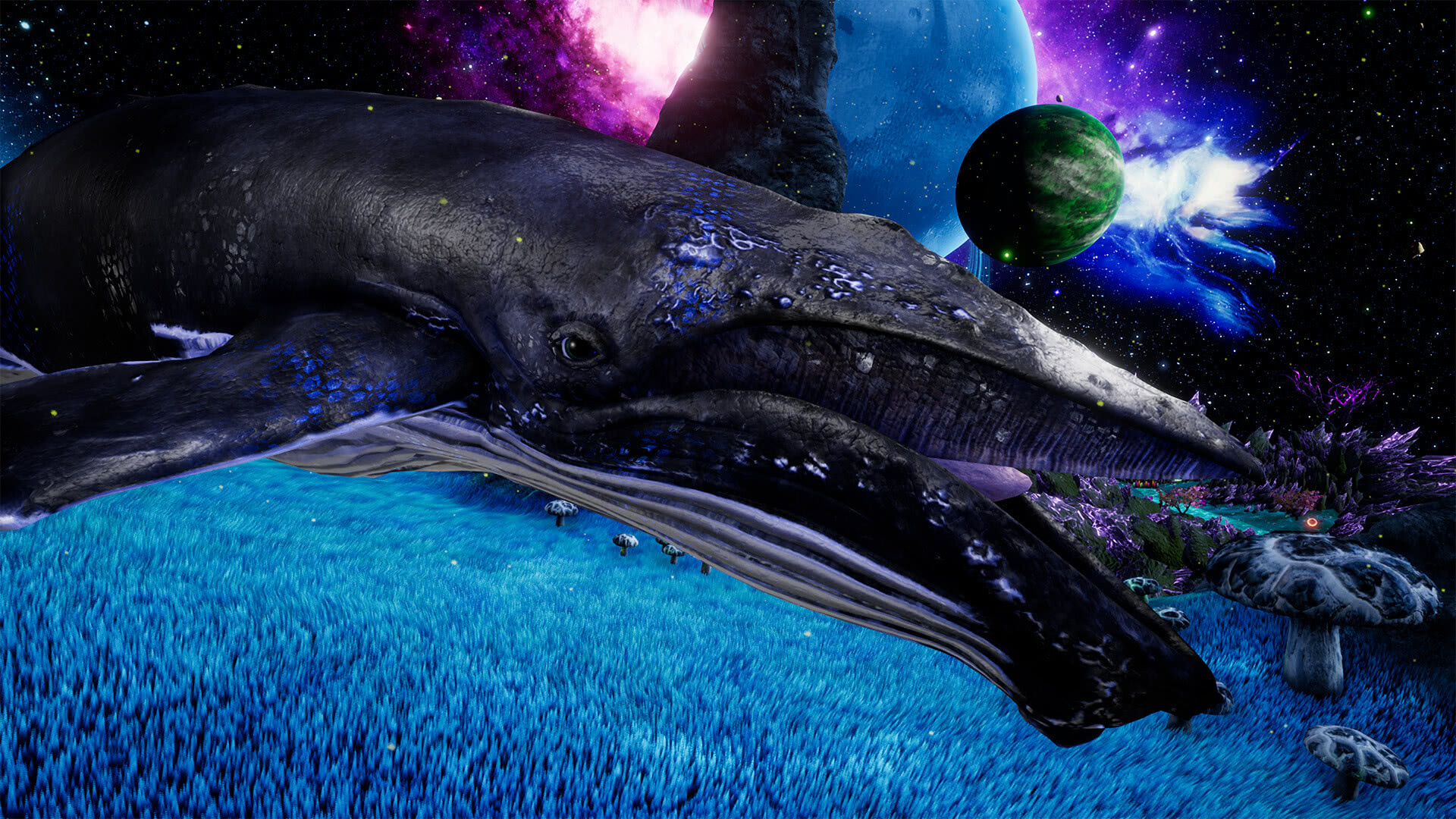 we dream of space we dream of space