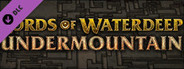 D&D Lords of Waterdeep: Undermountain expansion
