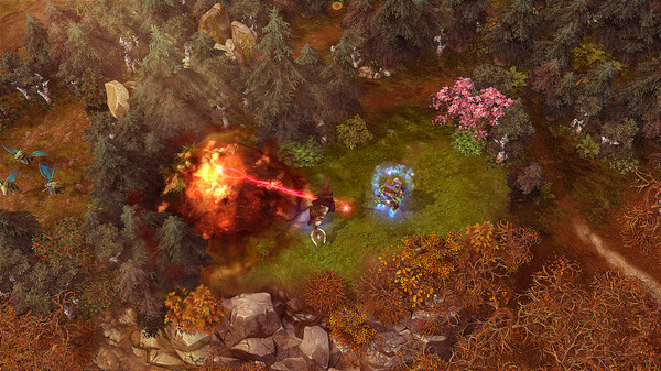 Prime Arena for linux