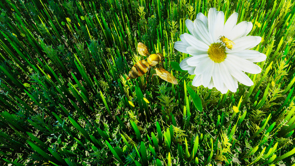 Drone Warfare game for Linux 1