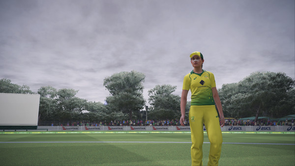 Ashes Cricketfor windows and Linux 1