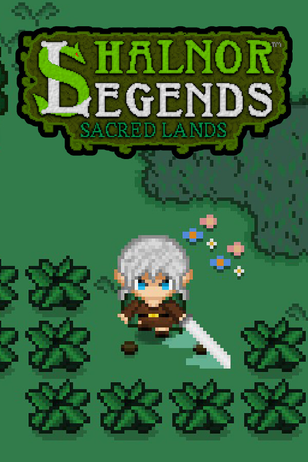 Shalnor Legends: Sacred Lands for steam