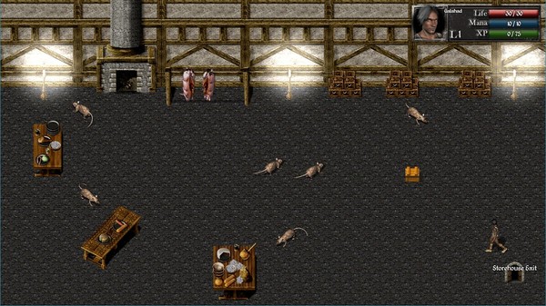 Скриншот из Catacombs 1: Demon War