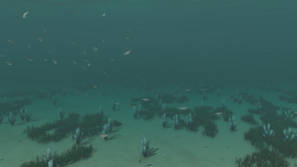 Escape The Pacificfor windows and Linux 1