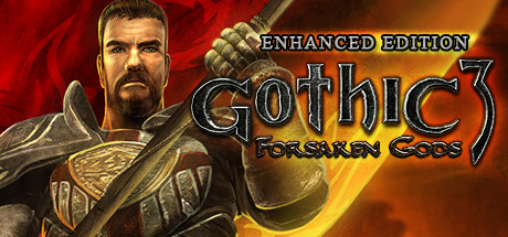 Gothic 3: Forsaken Gods Enhanced Edition on Steam Backlog