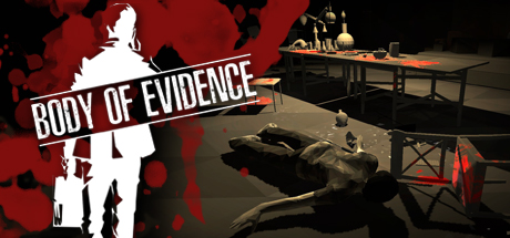 Body of Evidence cover art