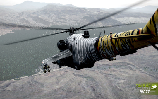 Скриншот из Take On Helicopters Hinds