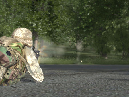 Скриншот из Arma: Gold Edition