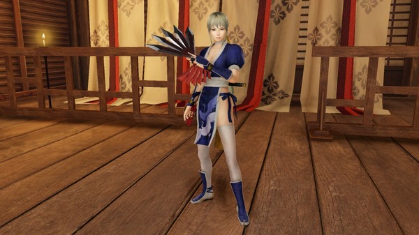 Скриншот из Warriors All-Stars - Exclusive Costume Set
