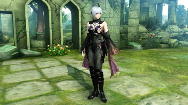 Скриншот из Warriors All-Stars - Costume: Laegrinna - Ayane