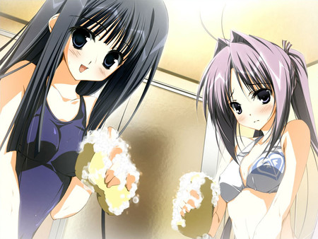 Wonderful Everyday Down the Rabbit-Holefor windows and Linux 1