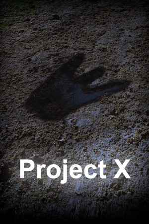 Project X