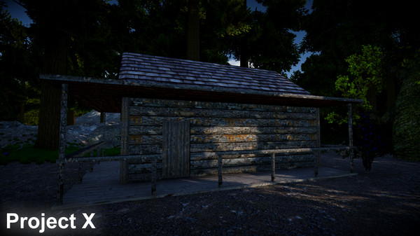 Скриншот из Project X