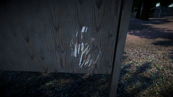 Project Xfor windows and Linux 1