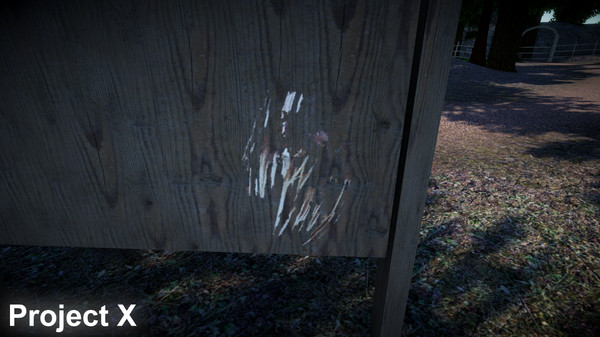 Скриншот из Project X
