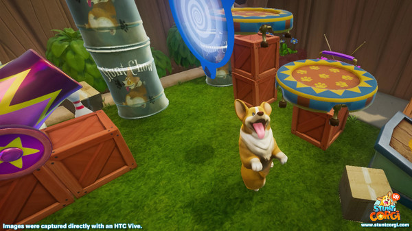 Stunt Corgi VR image