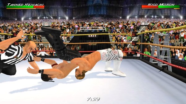 Wrestling Revolution 3D for linux