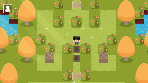 Sokoban Land DX for linux