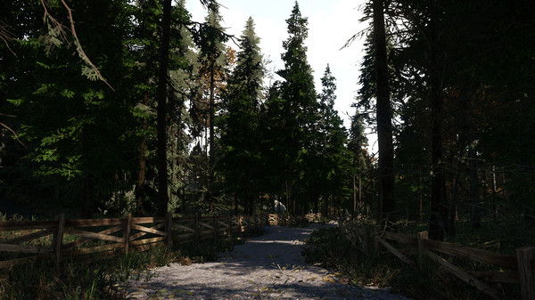 Room 54 game for Linux 1