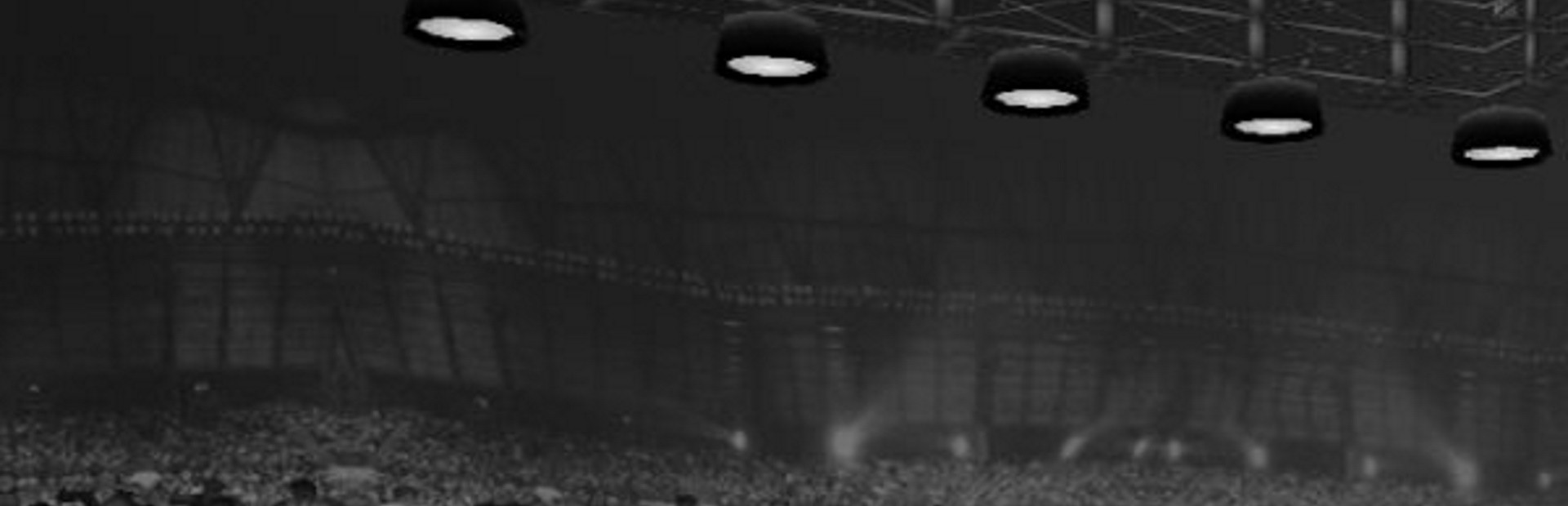 Wrestling Revolution 2D