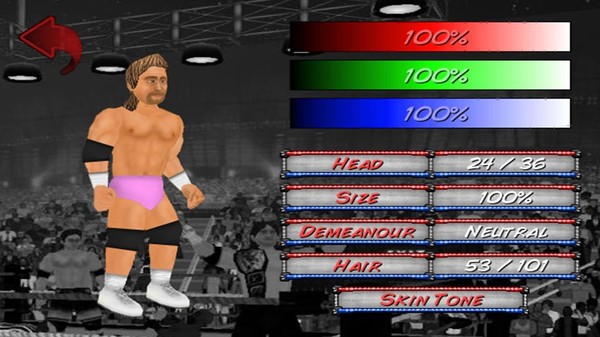 Wrestling Revolution 2D requirements