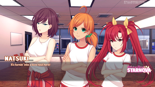 Скриншот из Shining Song Starnova