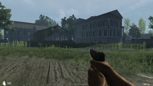 Deadly Zonefor windows and Linux 1