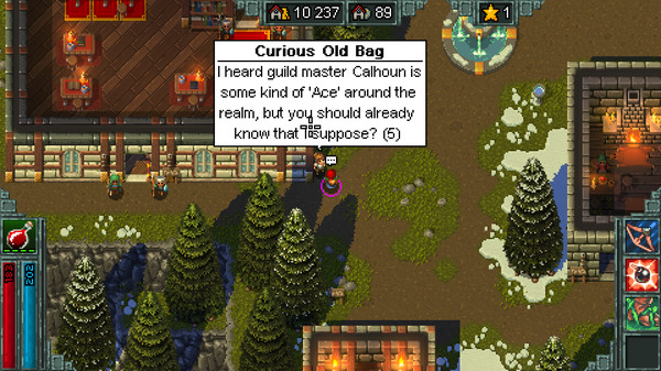 Скриншот из Heroes of Hammerwatch