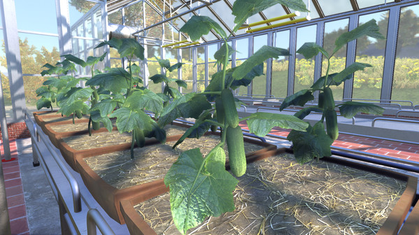 Farmer's Dynastyfor windows and Linux 1