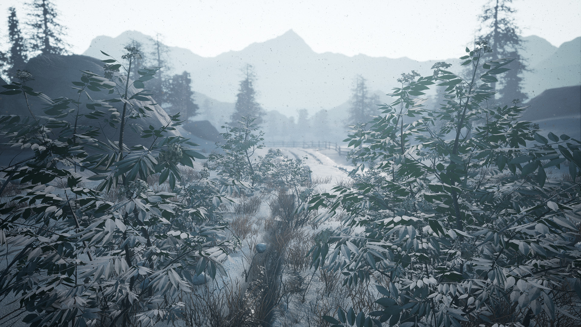 Forgotten Land Forgotten Land