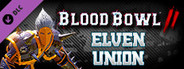 Blood Bowl 2 - Elven Union