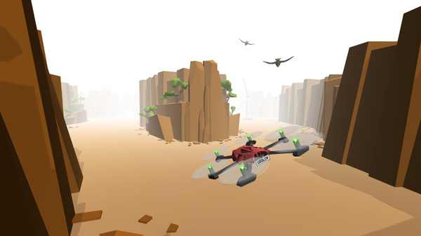 Drone Racer: Canyons requirements