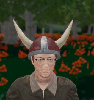 Скриншот из Hide and Seek - Viking Hat